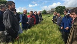 AHDB Cereals & Oilseeds Monitor Farms